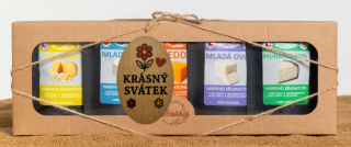Dárková sada 5 druhů lyo sýrů MIX krásný svátek